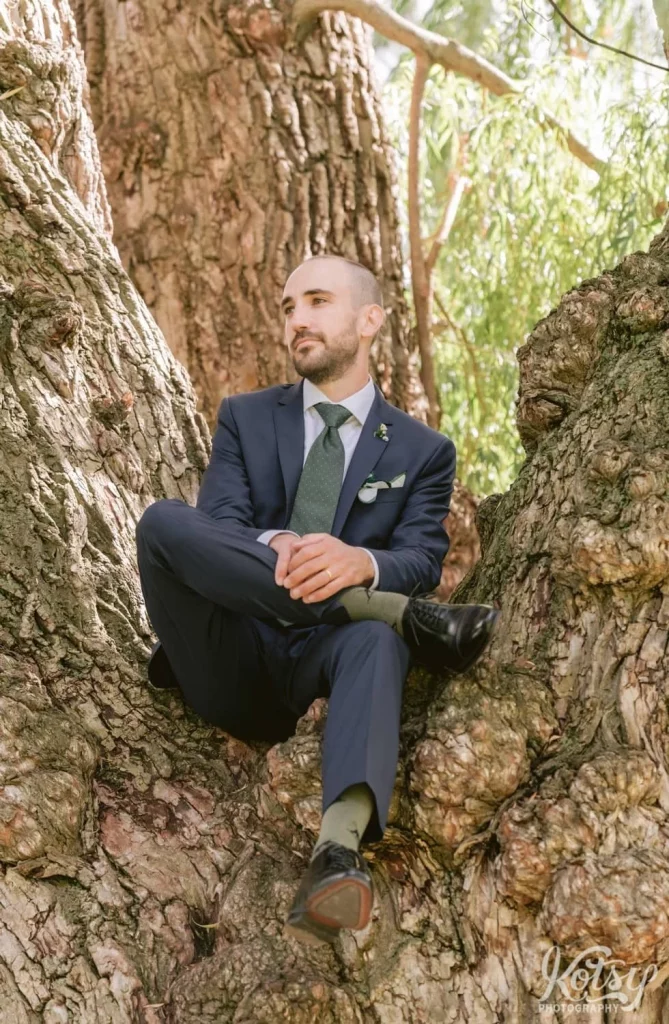 A groom sits in a tree while looking off camera at Edwards Gardens