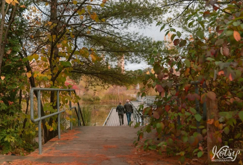 A wide shot from behind a couple walking on a wooden dock amongst fall colours in Don Valley Brick Works Park in Toronto.